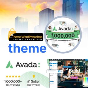 theme-avada3